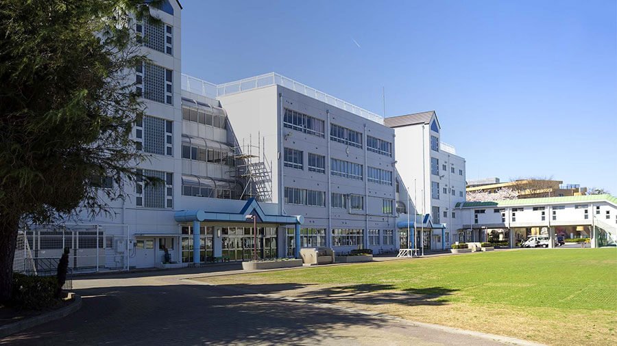 学校保健師とは